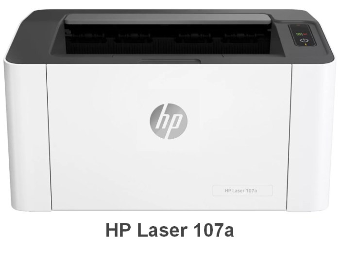 Driver Hp Laser 107A