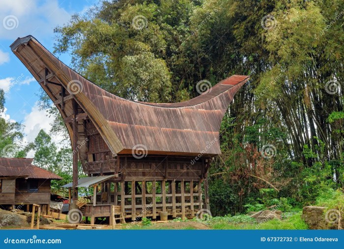 Tongkonan Rumah Adat Dari