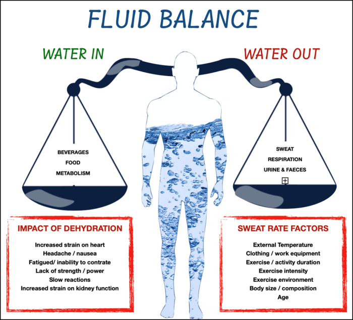 Rumus Balance Cairan Dewasa